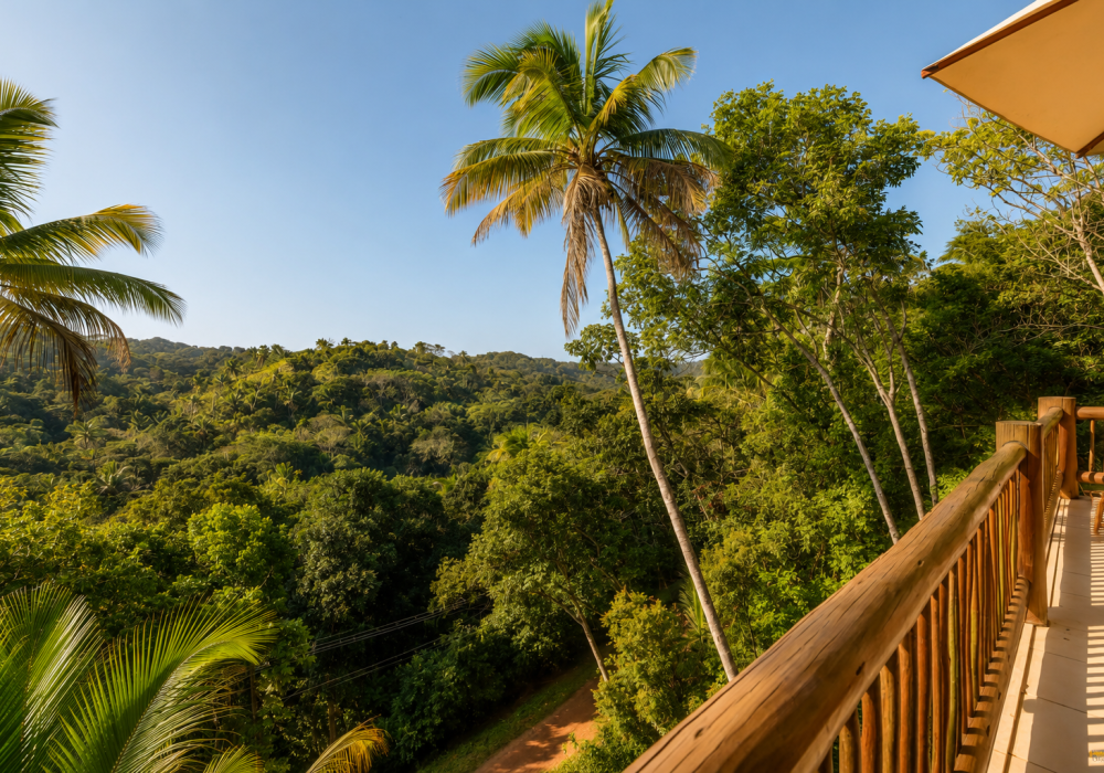 saojose_casa32_00018